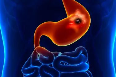 Human Health and Disease