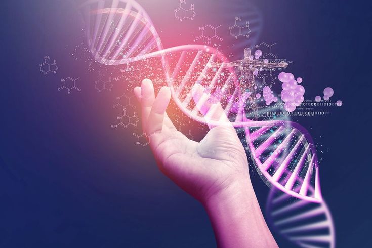 Molecular basis of human inheritance
