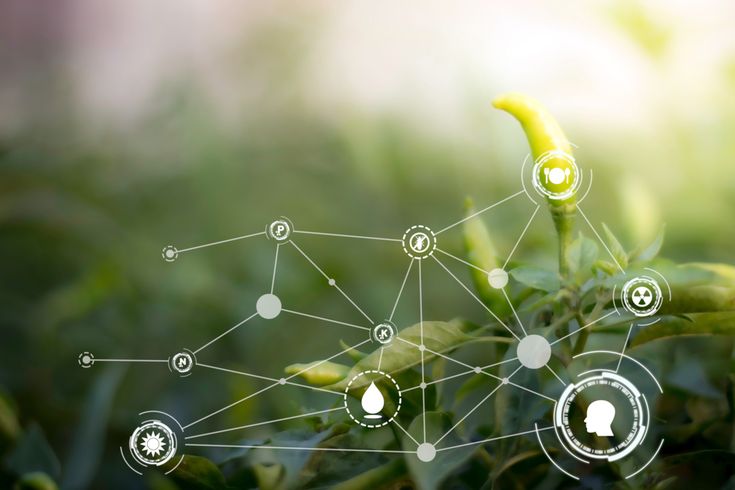 Biotechnology and its Applications